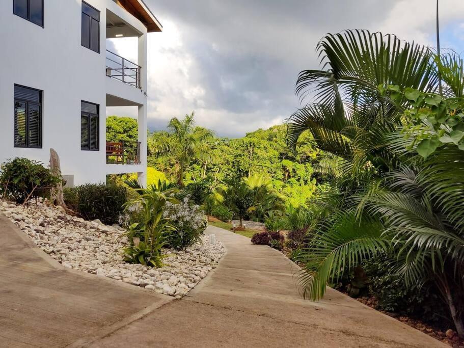 The Willow Apartment Ocho Rios Bagian luar foto
