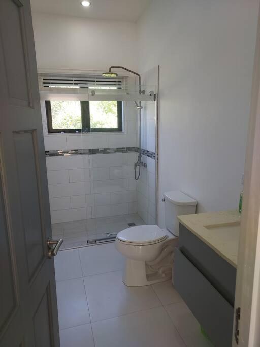 The Willow Apartment Ocho Rios Bagian luar foto