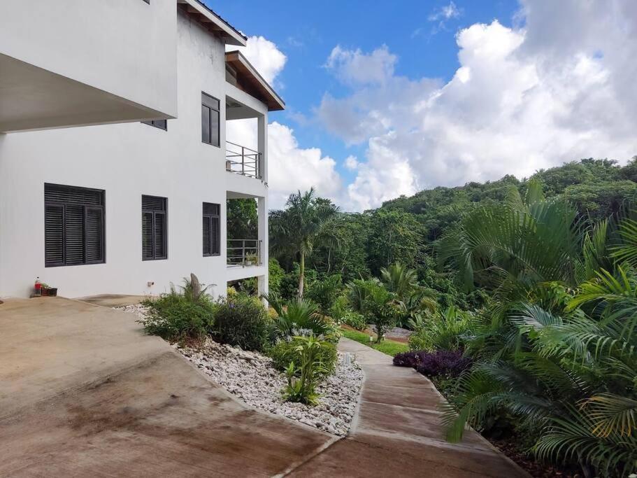 The Willow Apartment Ocho Rios Bagian luar foto