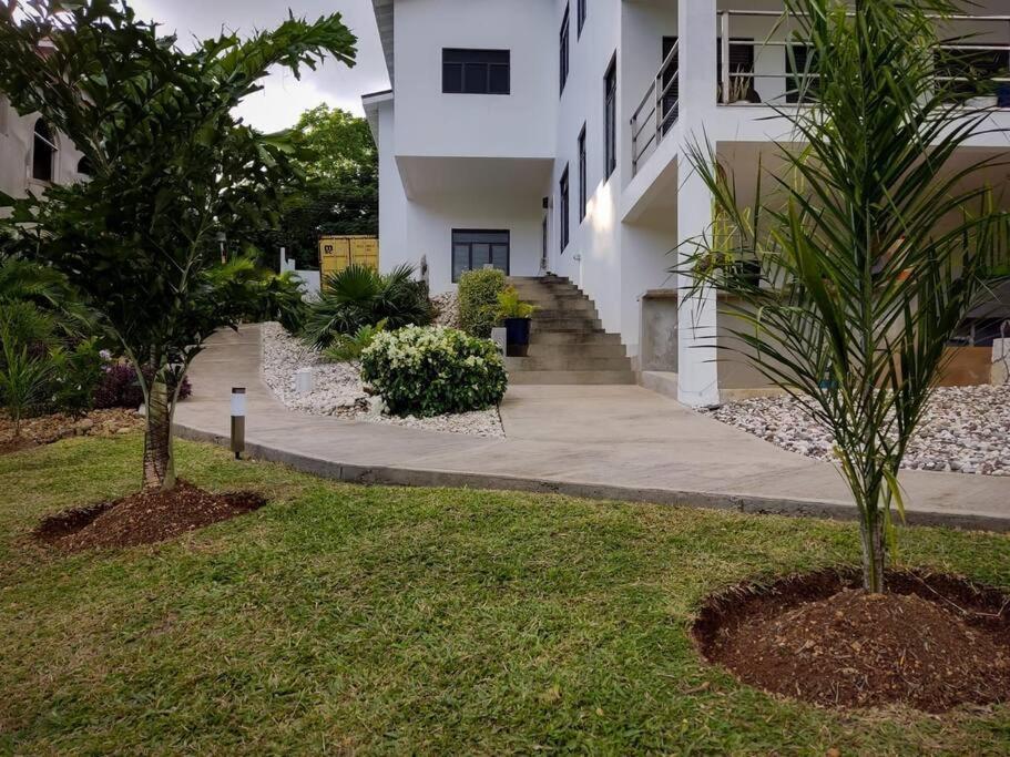 The Willow Apartment Ocho Rios Bagian luar foto