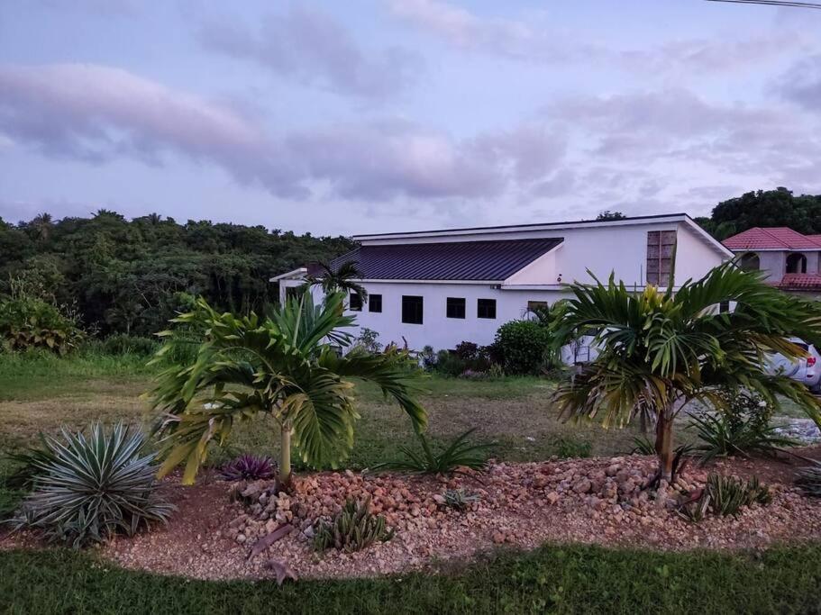 The Willow Apartment Ocho Rios Bagian luar foto