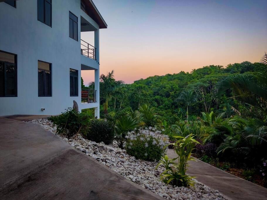 The Willow Apartment Ocho Rios Bagian luar foto